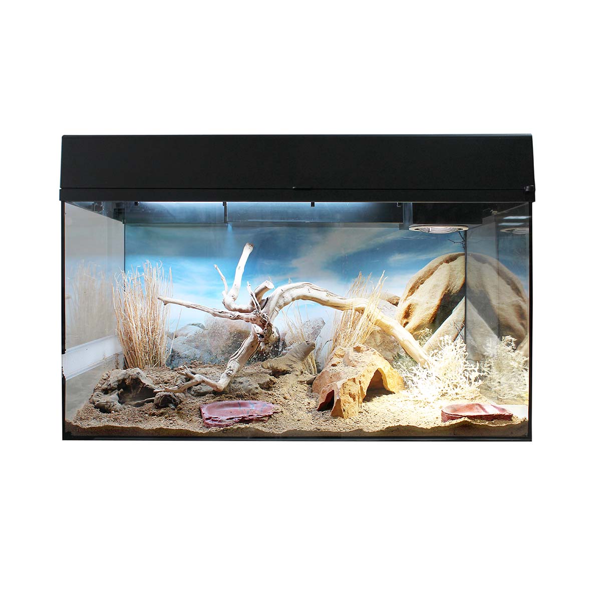 Lucky Reptile Terrarium Starter Kit 80 cm 