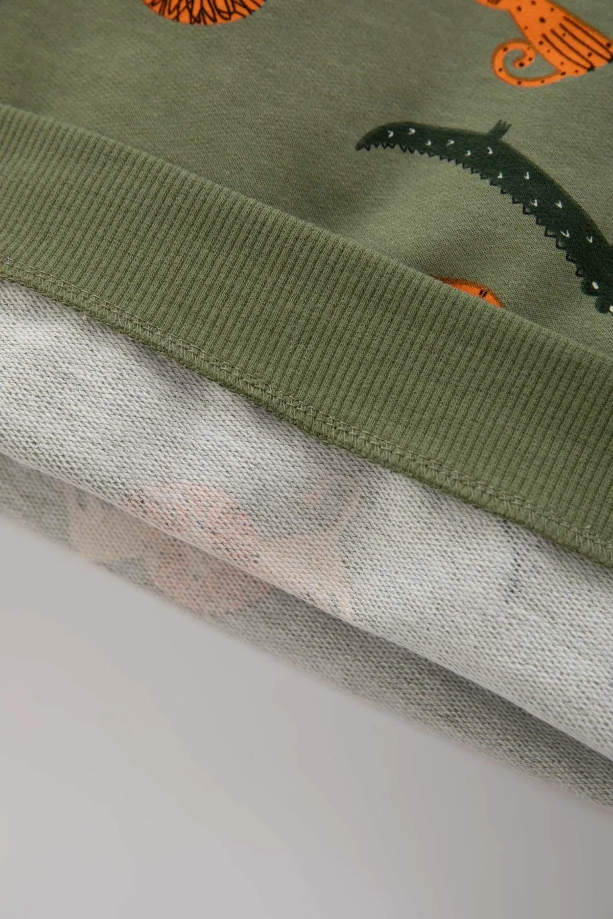 DeFacto  Sweatshirt-Stoff-Sweatshirt mit normaler Passform und Rundhalsausschnitt mit Tiermuster für Babys