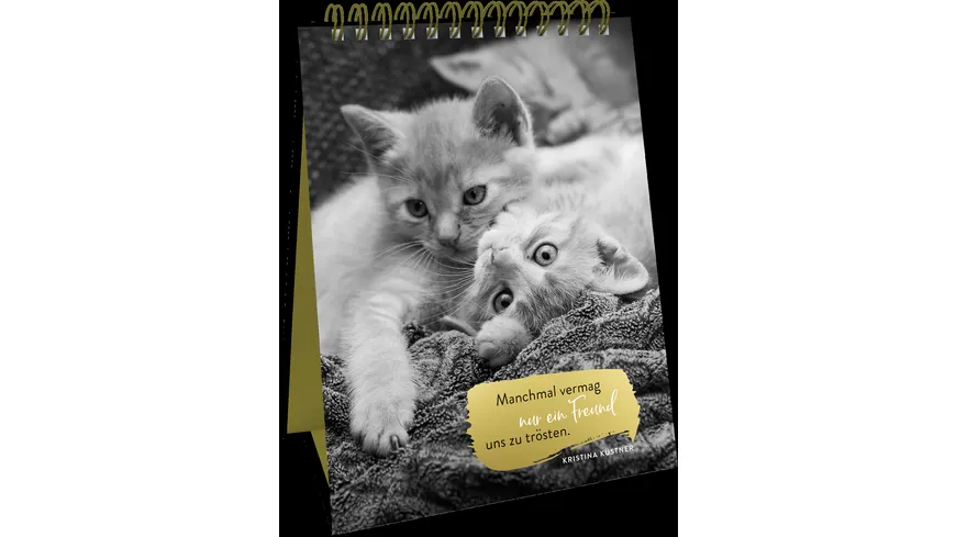 Spiralaufsteller Goldene Katzenweisheiten - Edles Geschenk mit ästhetischen Schwarz-weiß-Fotografien und Katzenweisheiten