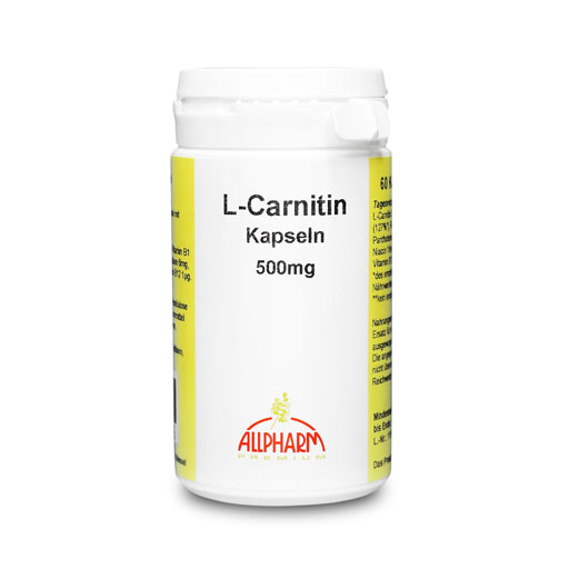 L-CARNITIN 500 mg Kapseln  60 St  Kapseln