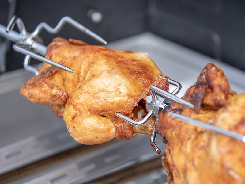 Campingaz Culinary Modular elektrischer Hähnchenbräter