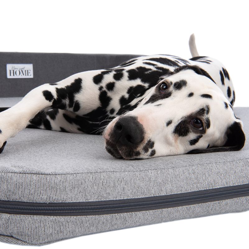 Hundebett Giant zu TOP-Preisen