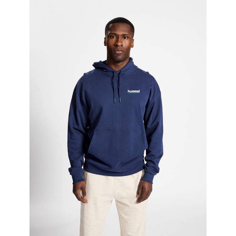 hummel hmlLGC NATE HOODIE Hoodie Herren