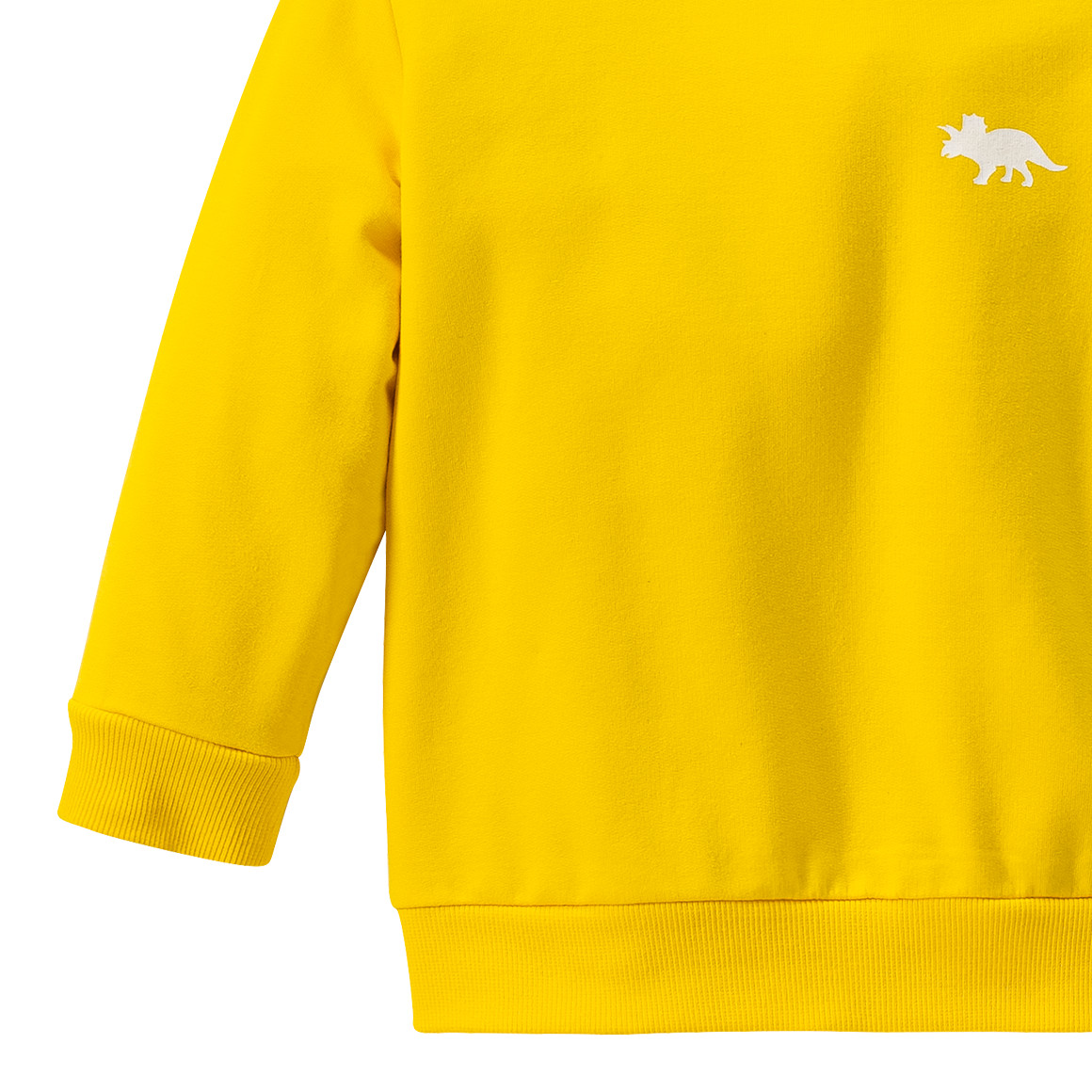 Baby Sweatshirt mit kleinem Dino
