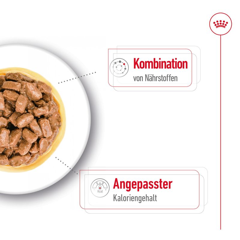 Royal Canin Mini Ageing in Soße