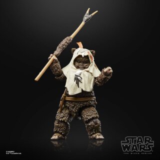 Star Wars Episode VI 40th Anniversary Black Series Actionfigur: Paploo