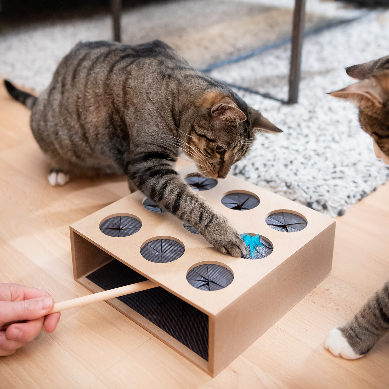 Canadian Cat Company Intelligenzspielzeug Canadian Cat Company Katzenspielzeug Fang die Maus