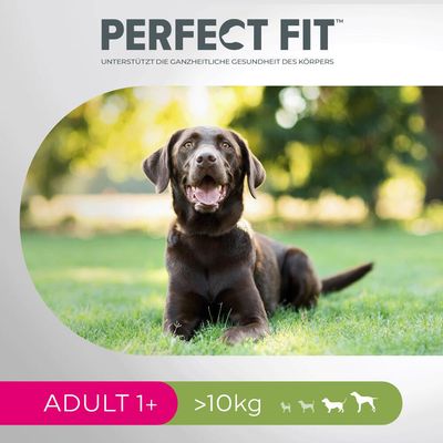 Perfect Fit Adult Hund (>10kg)