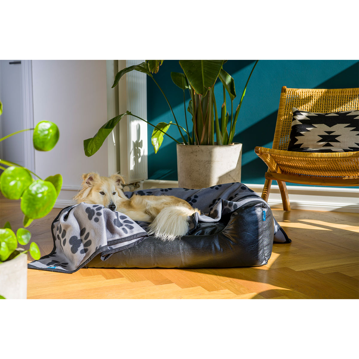 ZooRoyal Kuscheldecke Kali anthrazit günstig kaufen