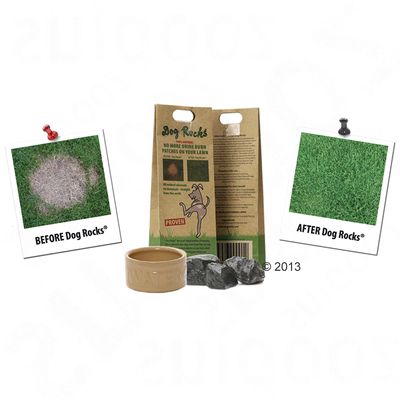 Dog Rocks® Natur-Steine
