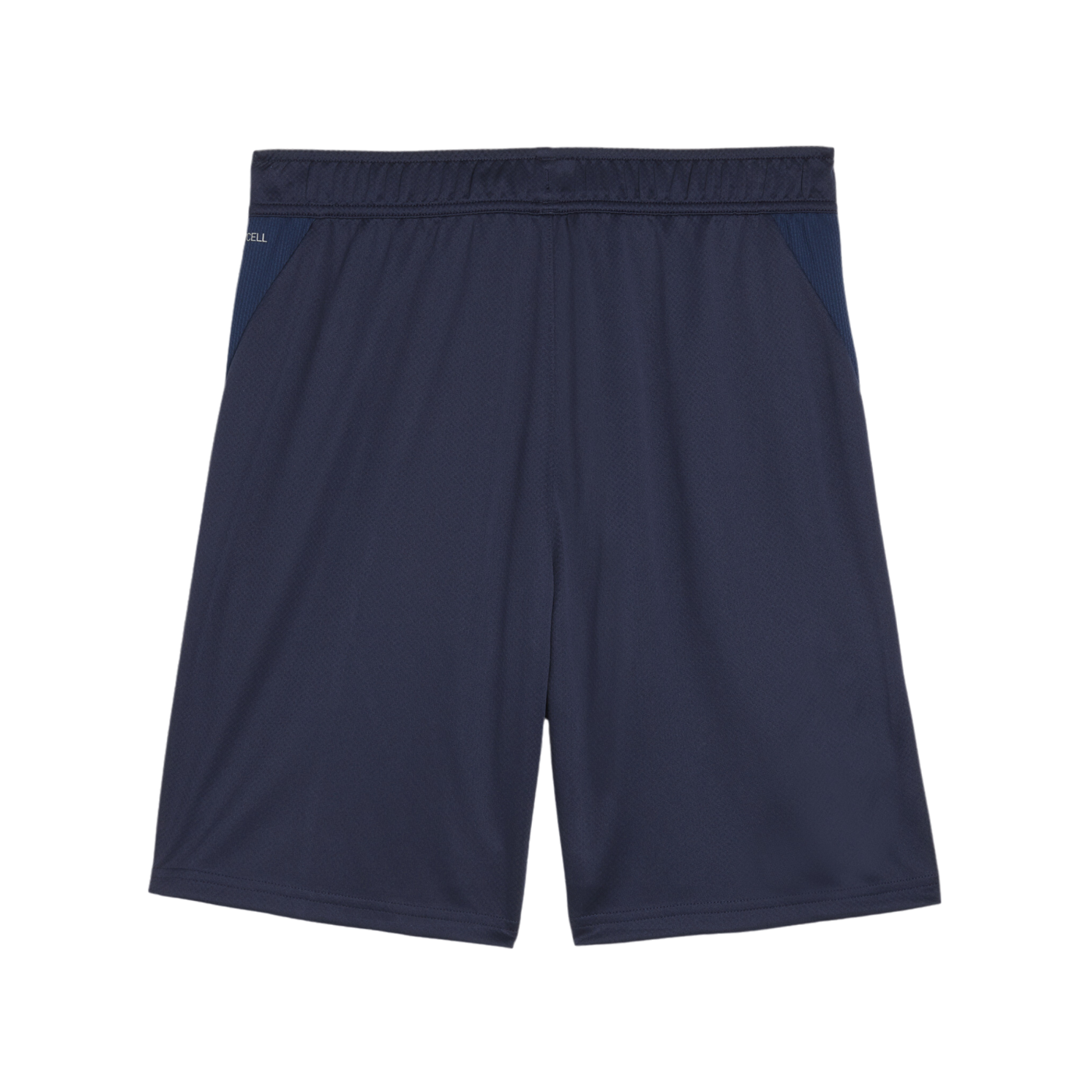 PUMA teamGOAL Training Shorts Blau F06