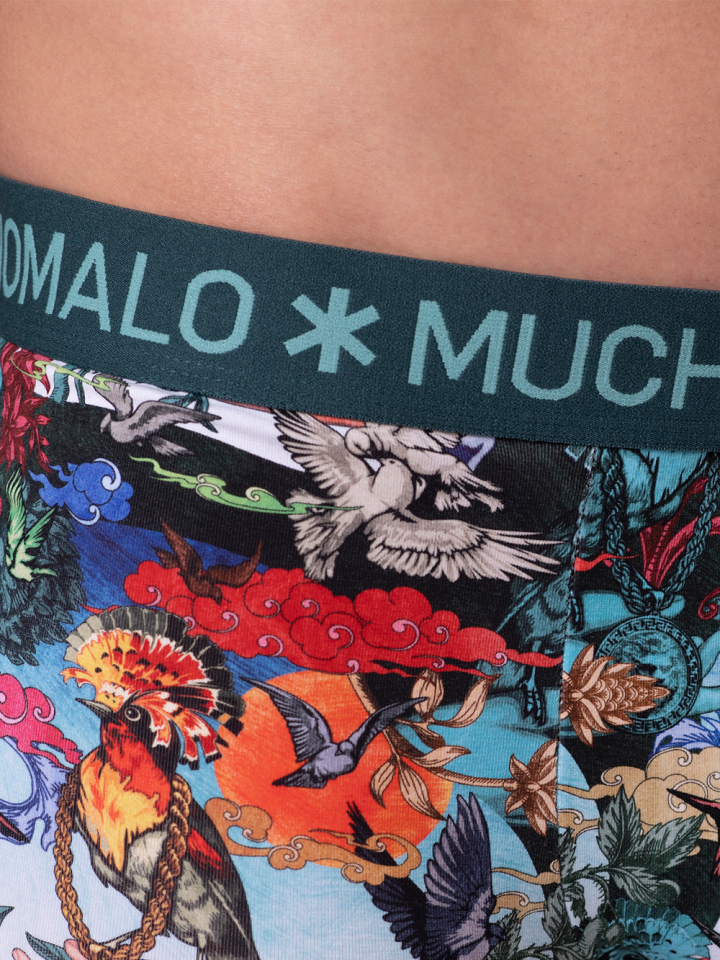 Muchachomalo 3er-Set: Boxershort in Mehrfarbig - für Herren günstig kaufen