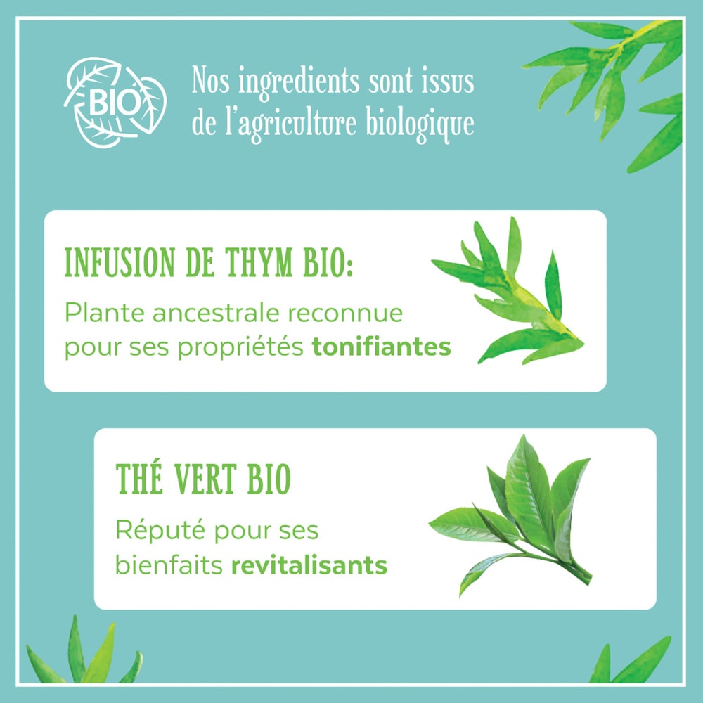 le petit marseillais Shampooing infusion DÃ©tox thym et thÃ©vert Bio - Le flacon de 250 ml Shampoing