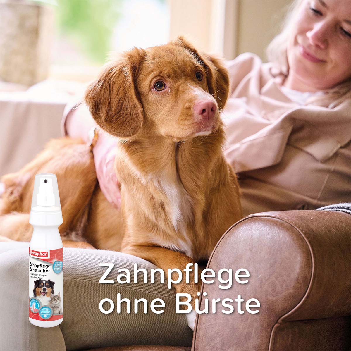 beaphar Zahnpflege für Hunde und Katzen im Zerstäuber 150ml