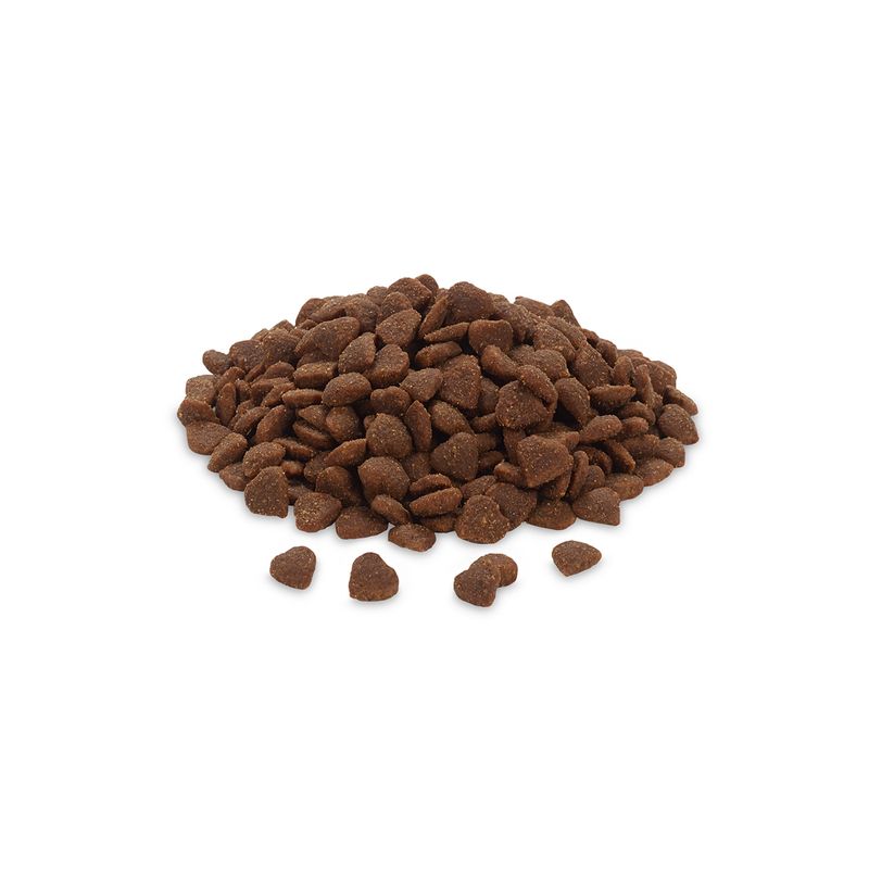 Feringa Kitten Classic Ente zu TOP-Preisen