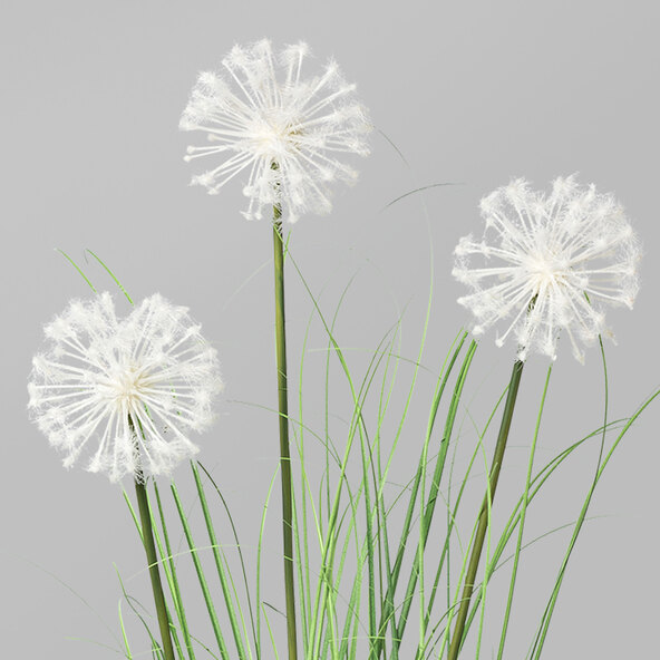 Künstl. Pusteblumen im Topf, 78 cm