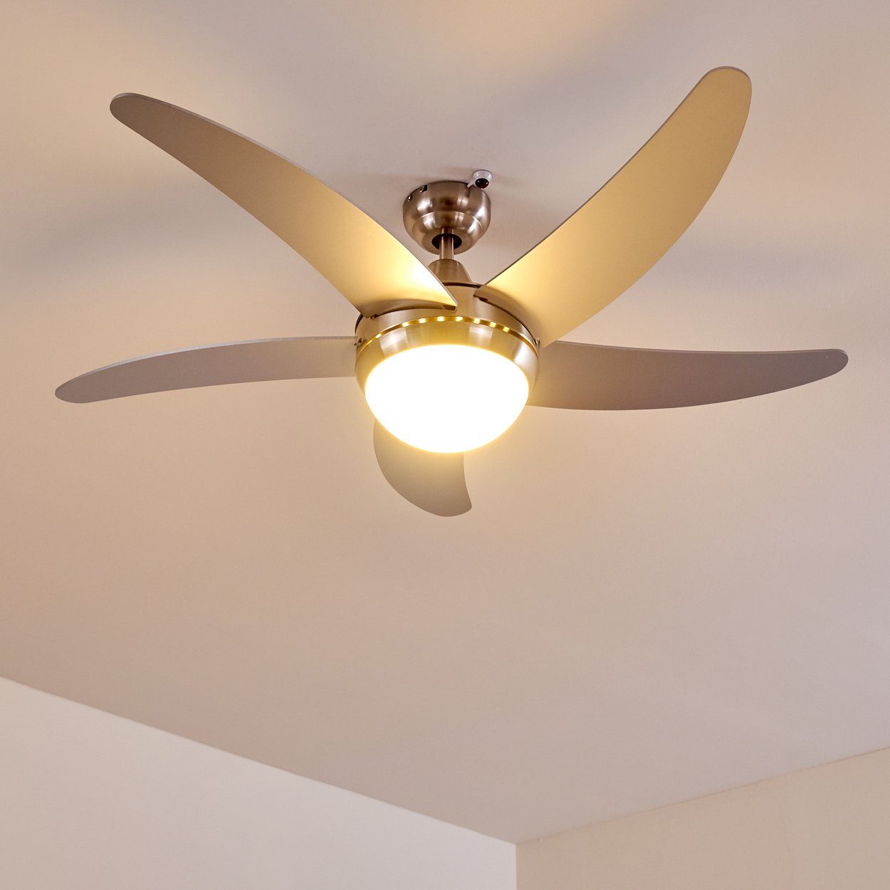hofstein Deckenventilator Quarto Deckenventilator aus Metall/Holz/Glas in Nickel-matt/Silber