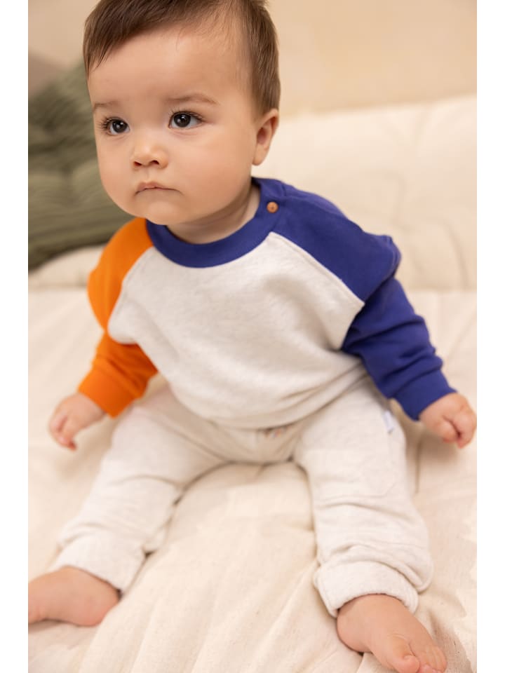 Noppies Sweater Orting in Oatmeal günstig kaufen