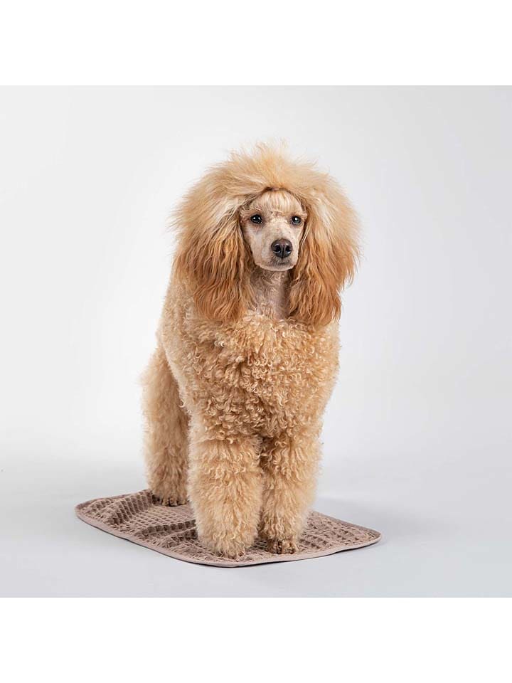 Paikka Hunde-Badetuch in Hellbraun günstig kaufen 40x110 cm