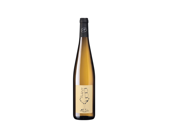 Domaine Bonnet-Huteau Plant-B 2021 Loire Vin de France