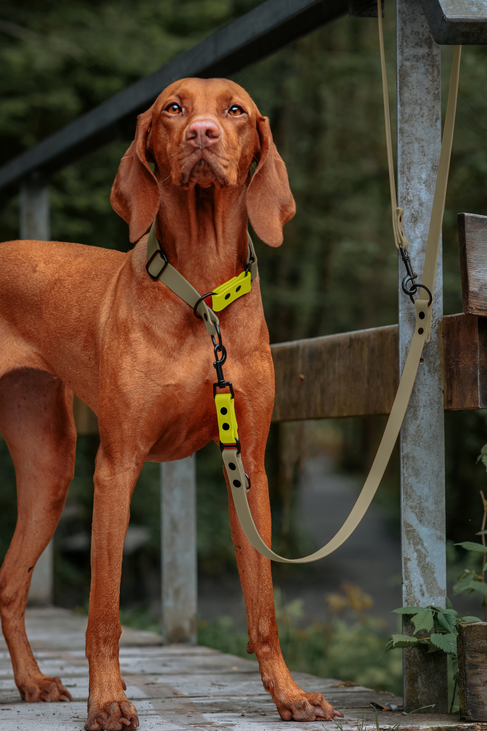 THE DOG IDEA Hundeleinen THE DOG IDEA Biothane Hundeleine Beige neon gelb