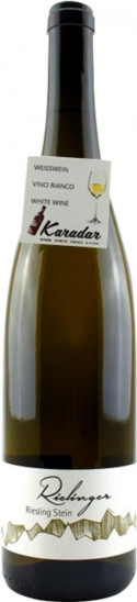 2021 Riesling Stein Bio - Rielingerhof