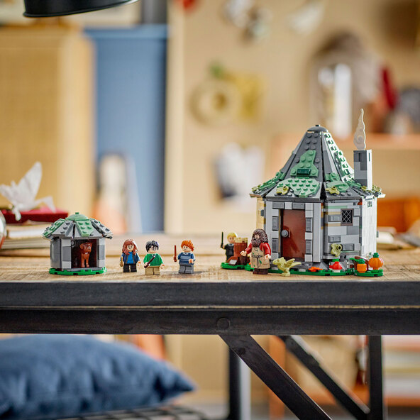 Harry Potter™ Hagrids Hütte: Ein unerwarteter Besuch 76428