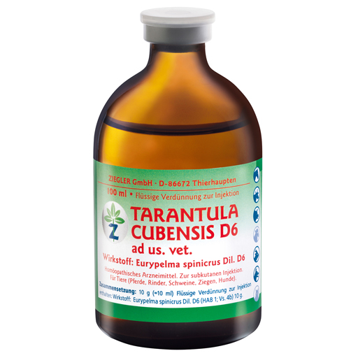 TARANTULA CUBENSIS D 6 Injektionslösung vet.  100 ml  Injektionslösung