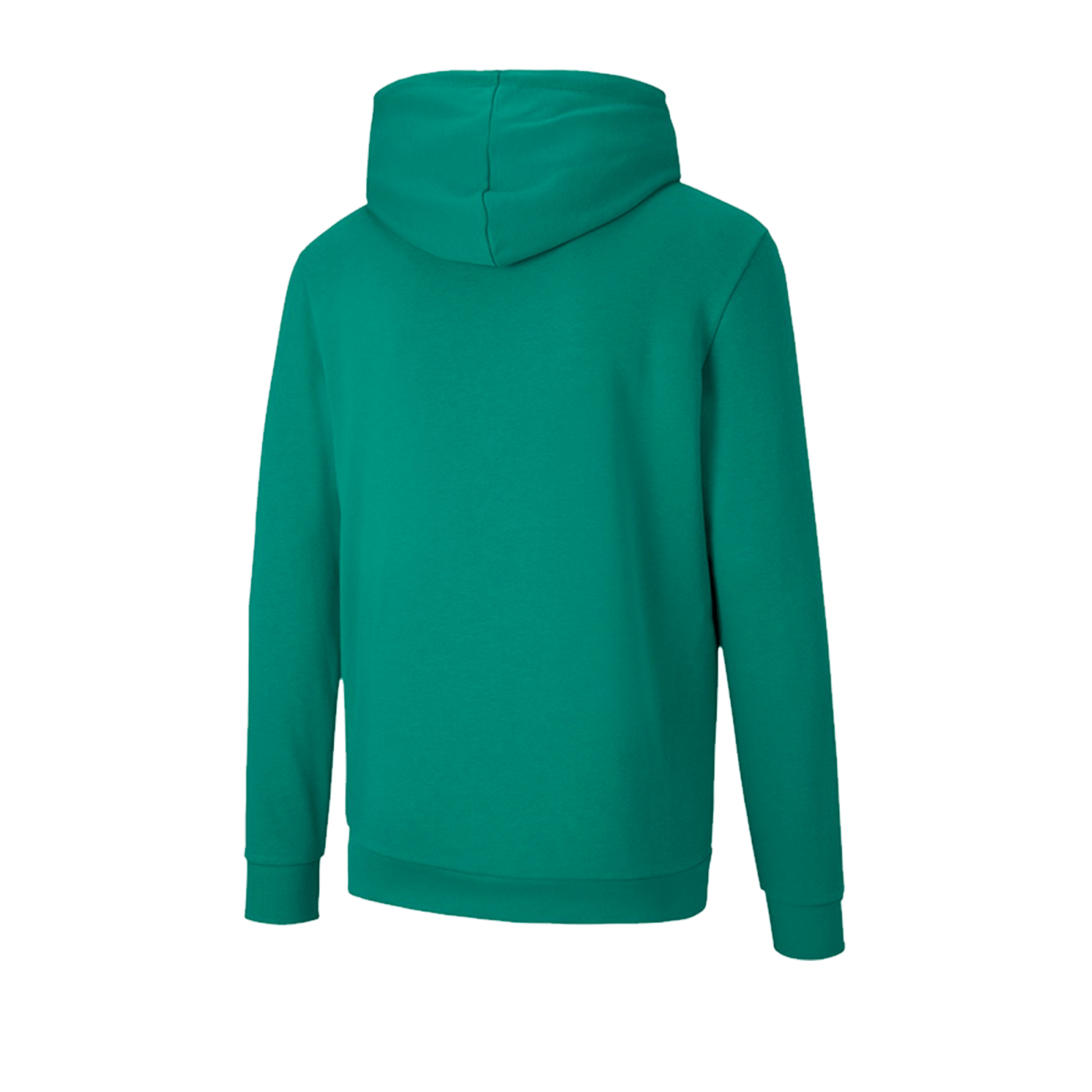 PUMA teamGOAL 23 Casuals Hoody Grün F05