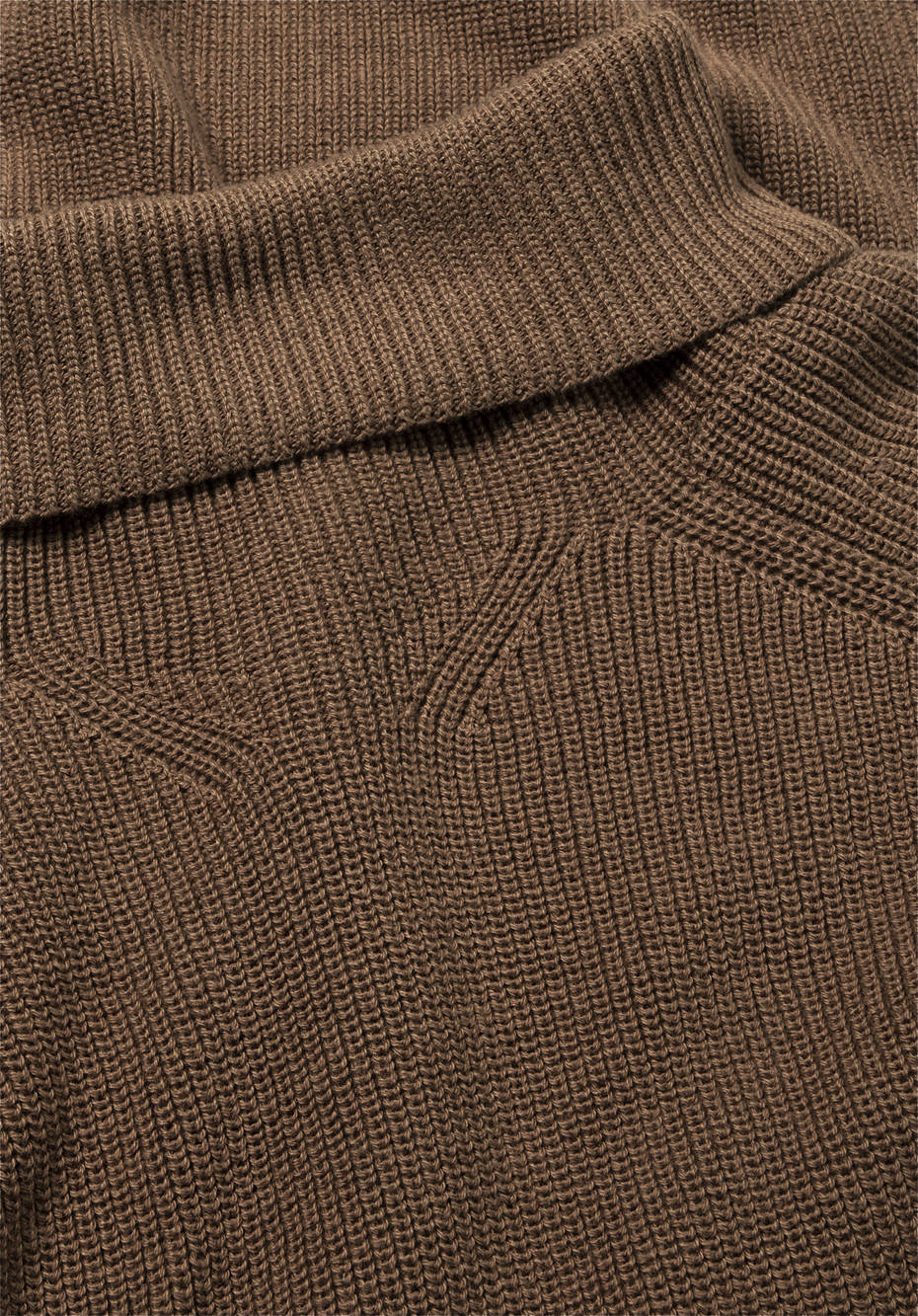 Rollkragenpullover aus reiner Bio-Baumwolle
