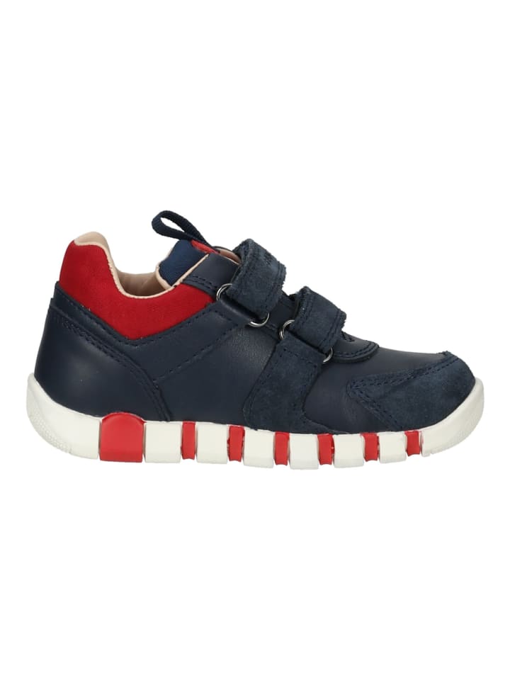Geox Sneaker in Navy/Rot günstig kaufen
