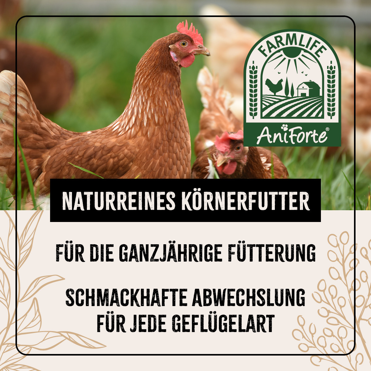 Aniforte Futter & Heu Aniforte Farmlife Geflügel Körner Auslese 5 kg