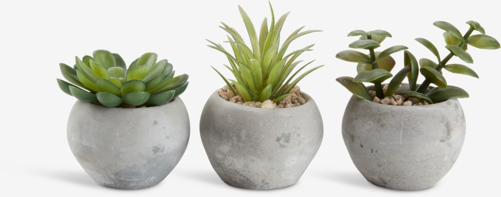 BROR Kunstig plante BROR Ø7xH9cm bunn