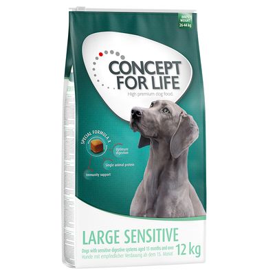 Sparpaket Concept for Life 2 x Großgebinde