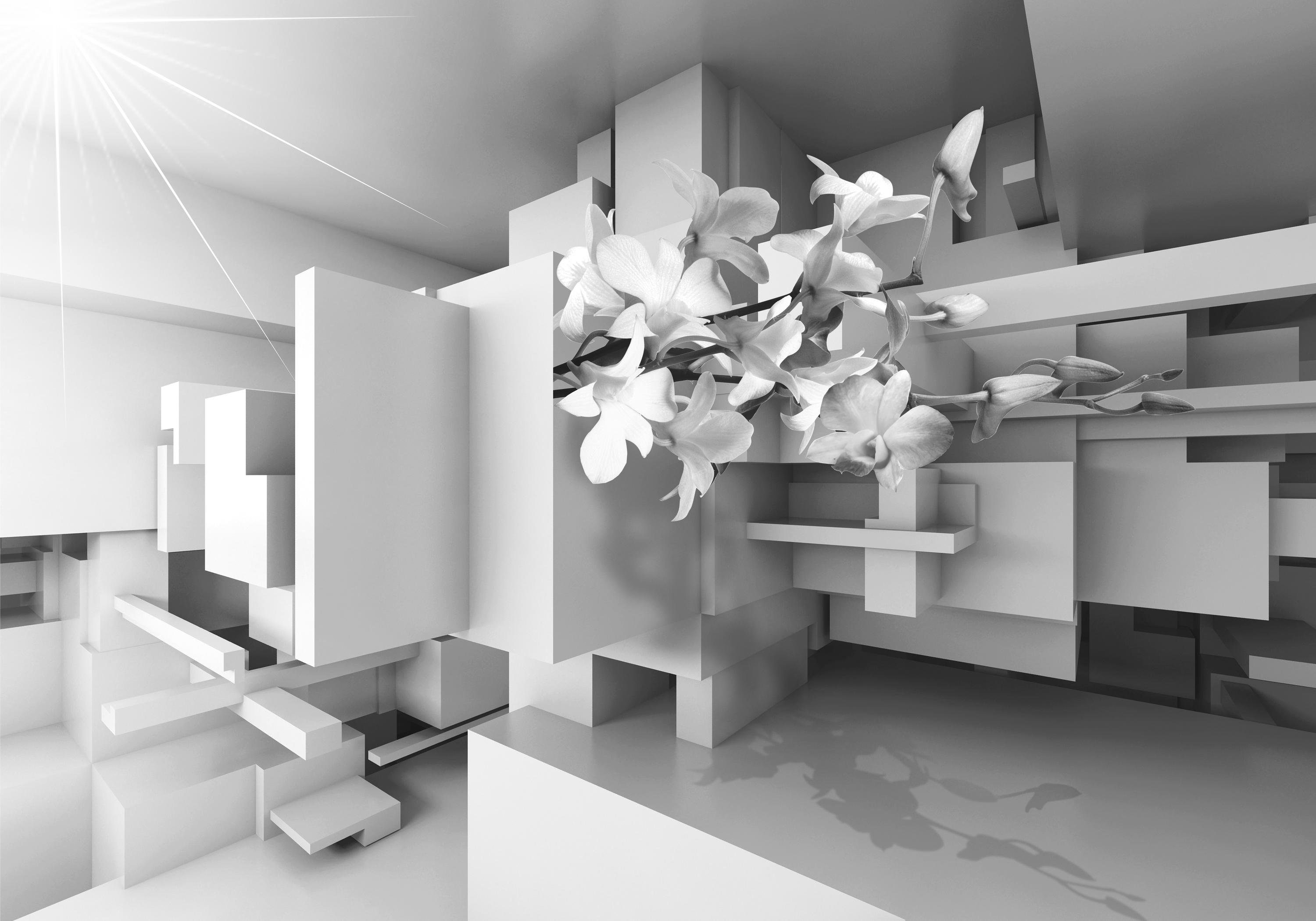 wandmotiv24 Fototapete Orchidee 3D Grau, glatt, Wandtapete, Motivtapete, matt, Vliestapete
