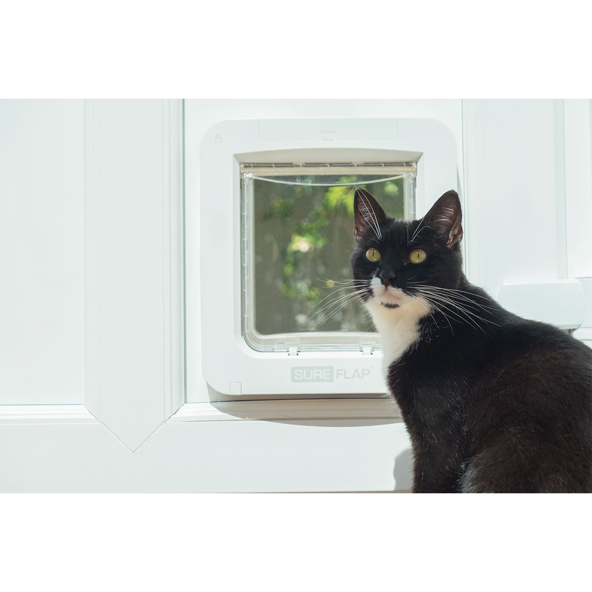 SureFlap Katzenklappe mikrochipgesteuert, weiß kaufen