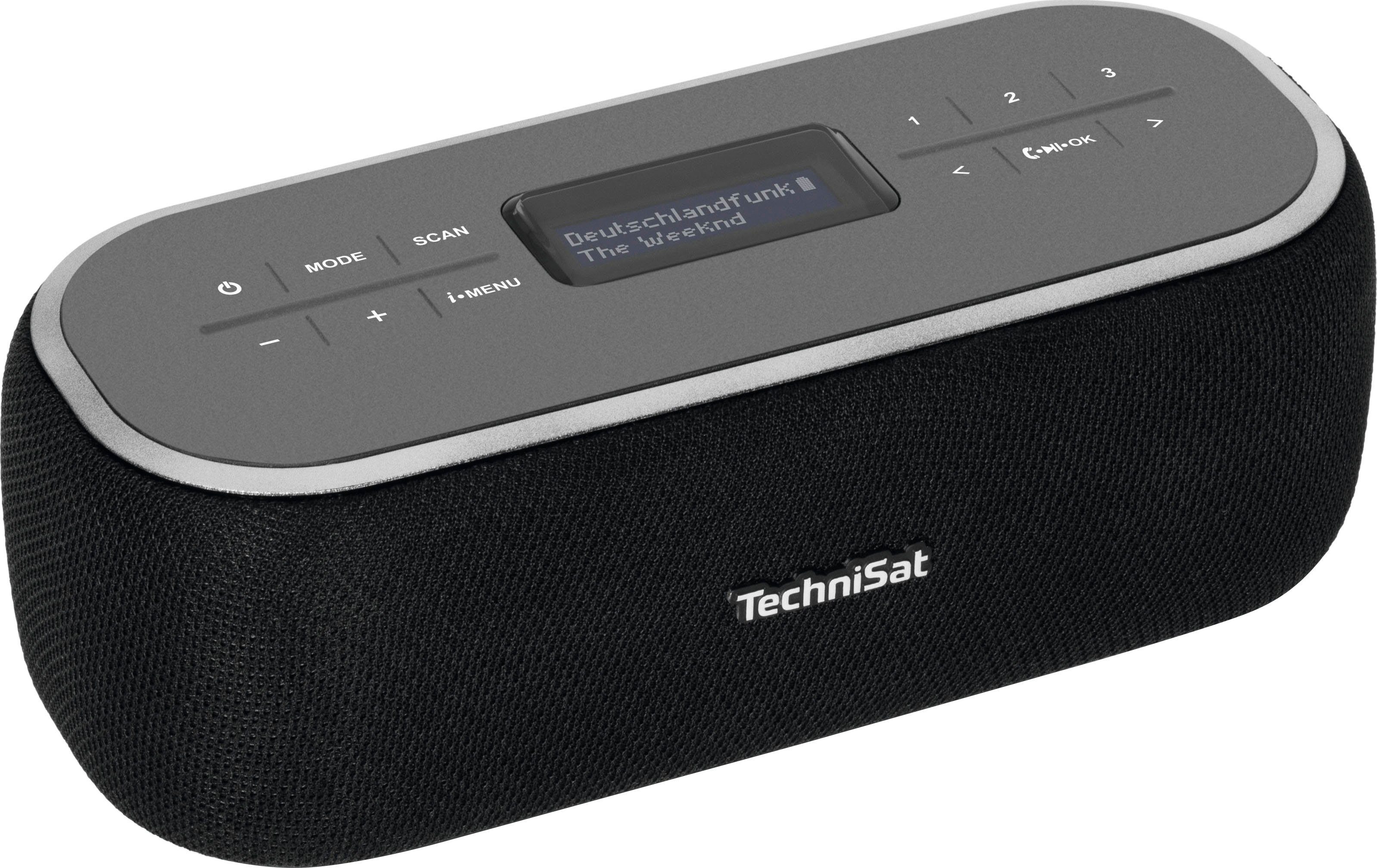 TechniSat VIOLA BT1 Radio (Digitalradio (DAB), UKW mit RDS, 6 W)