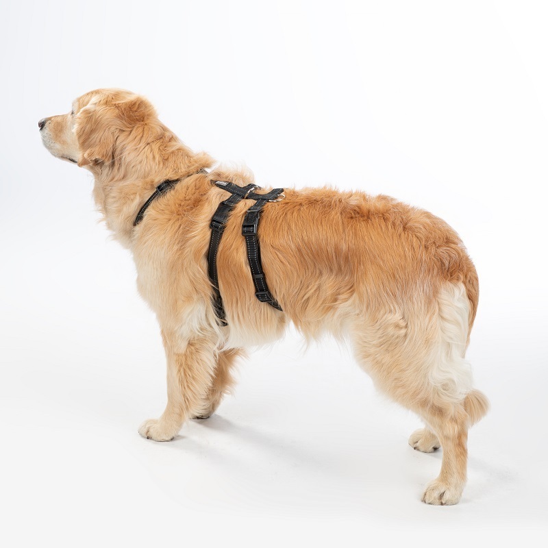 AniOne Hundegeschirre AniOne Geschirr Classic Safety M
