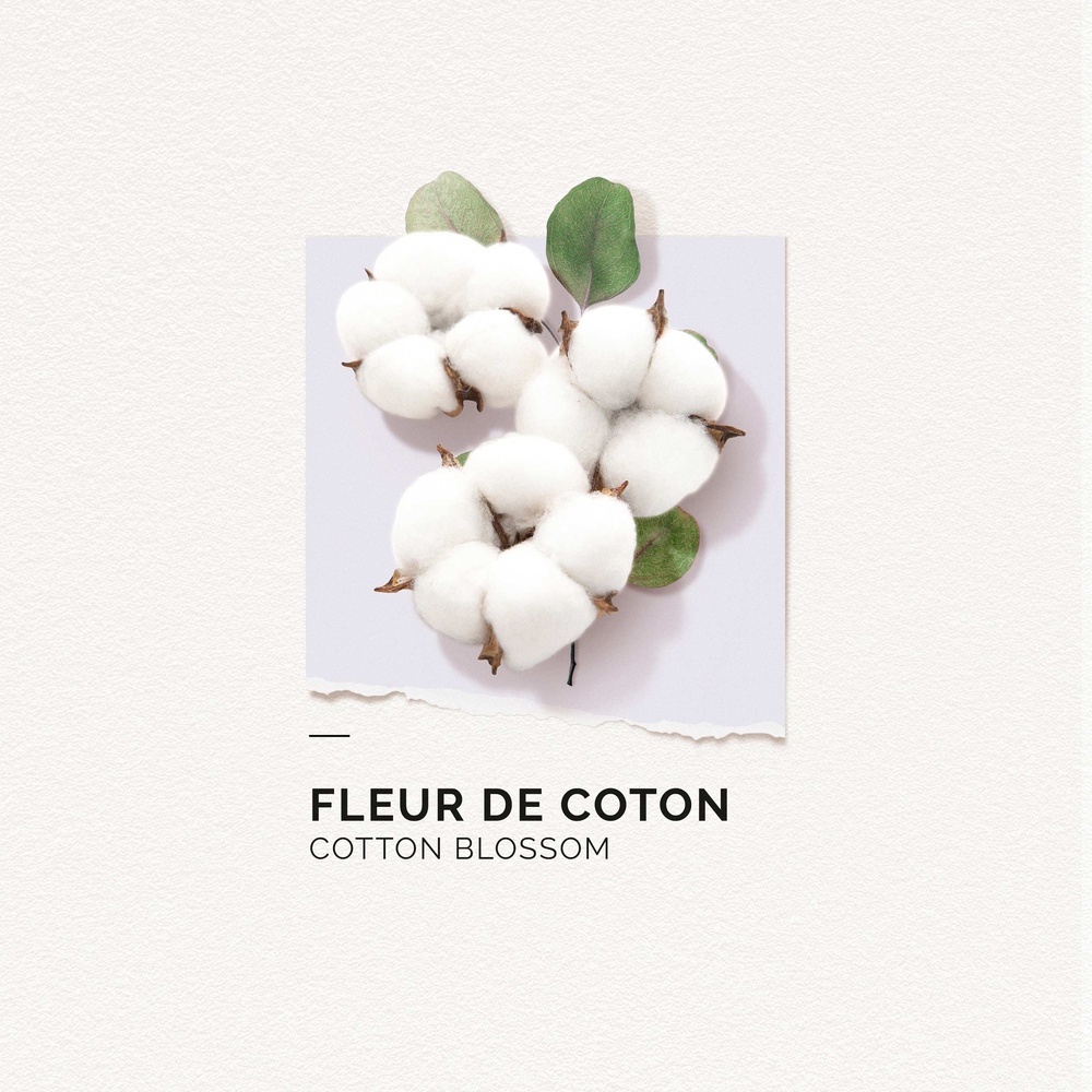 Solinotes Fleur de Coton Eau de Parfum