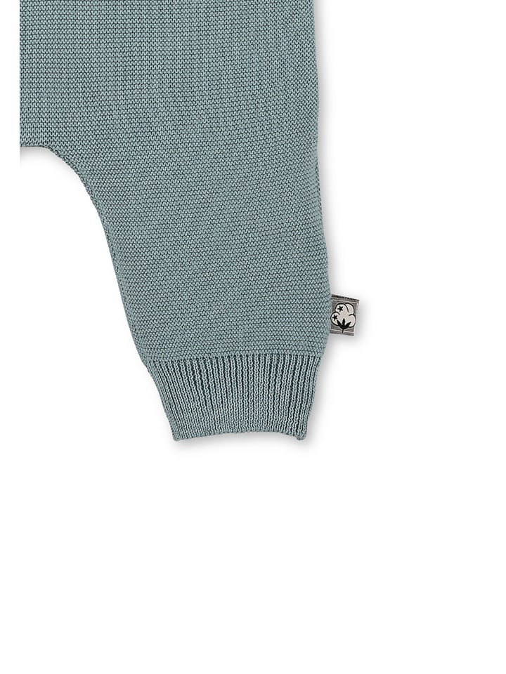 Sterntaler GOTS Strick-Hose in sattes grün günstig kaufen