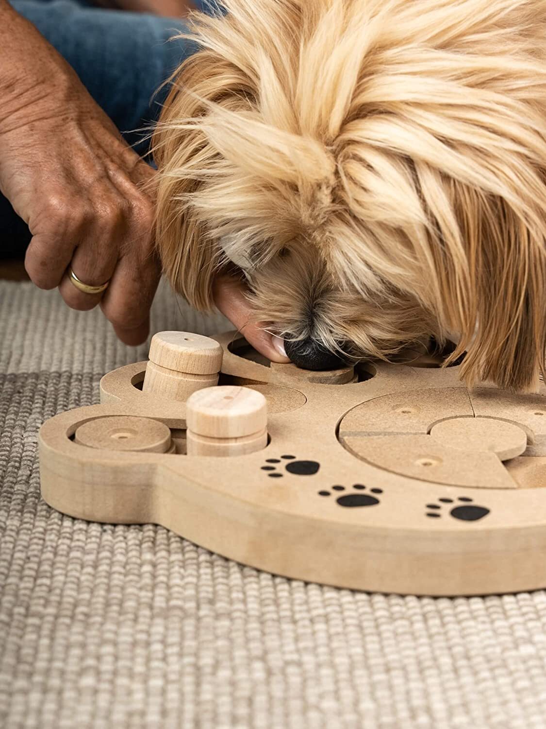 TrendPet Intelligenzspielzeug TrendPet Intelligenzspielzeug Intelli