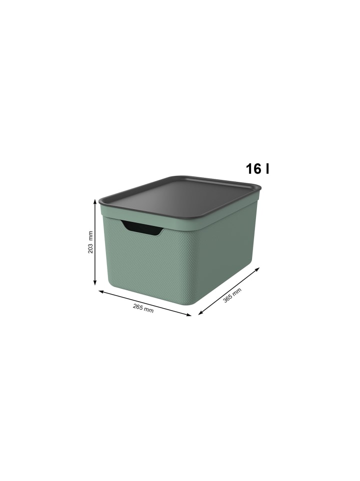 Rotho 3er- Set Aufbewahrungskorb 16l mit Deckel in Sea Spray green ged. günstig kaufen onesize
