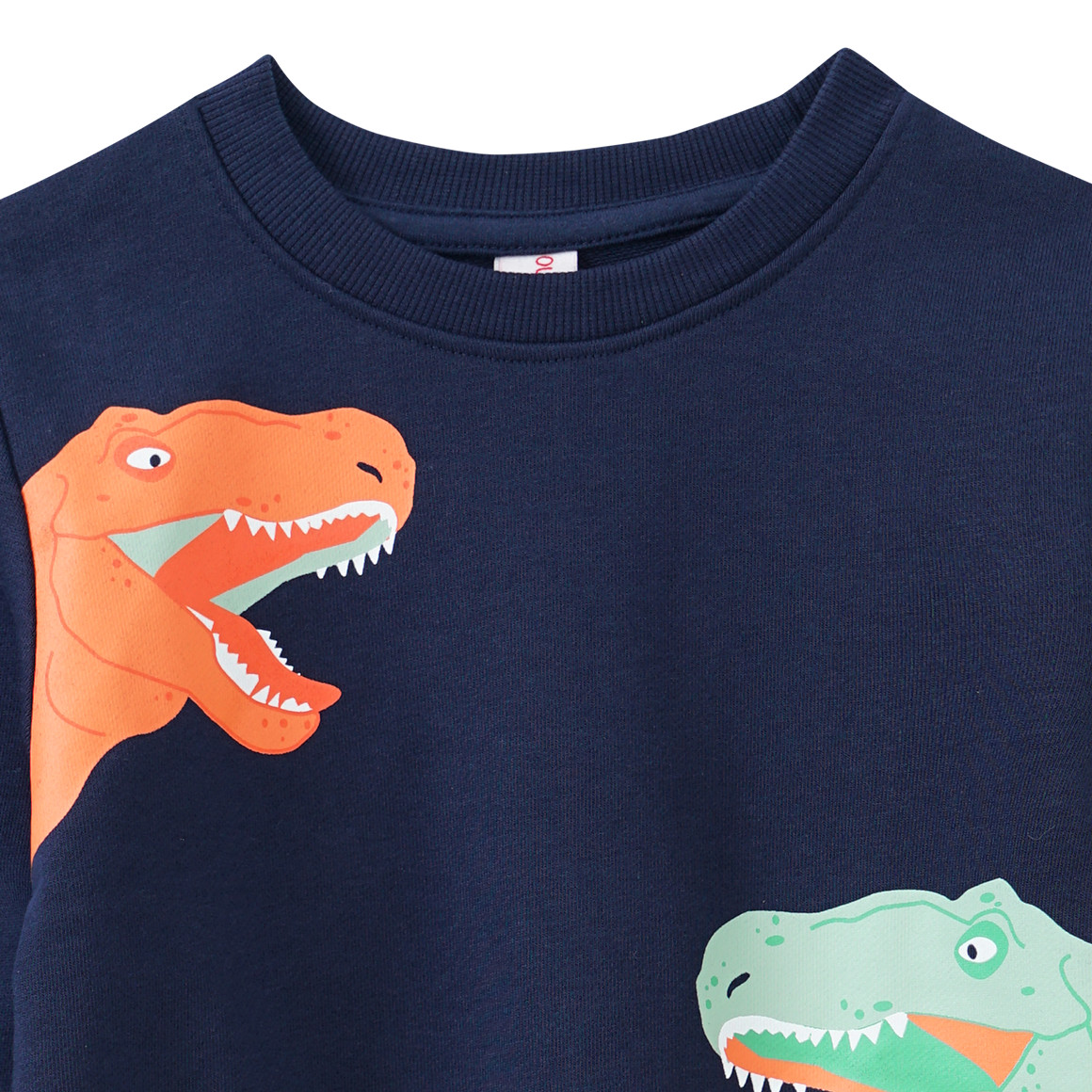 Jungen Sweatshirt mit Dino-Print
