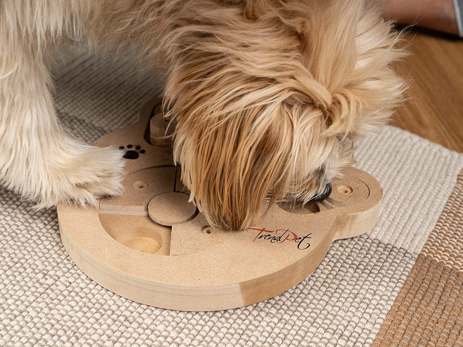 TrendPet Intelligenzspielzeug TrendPet Intelligenzspielzeug Intelli