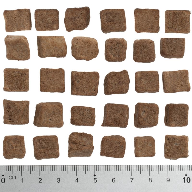 Probierpaket Purizon Hundesnack 2 x 100 g