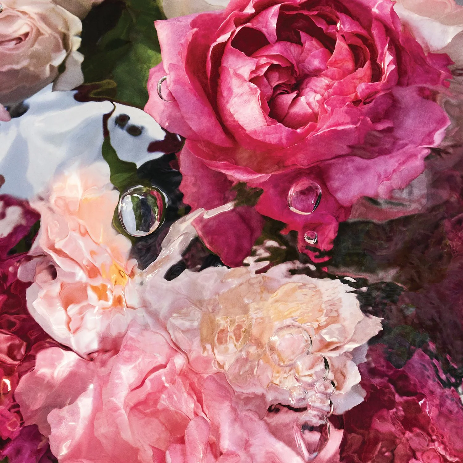 Aqua Allegoria Red Rose - Eau de Toilette