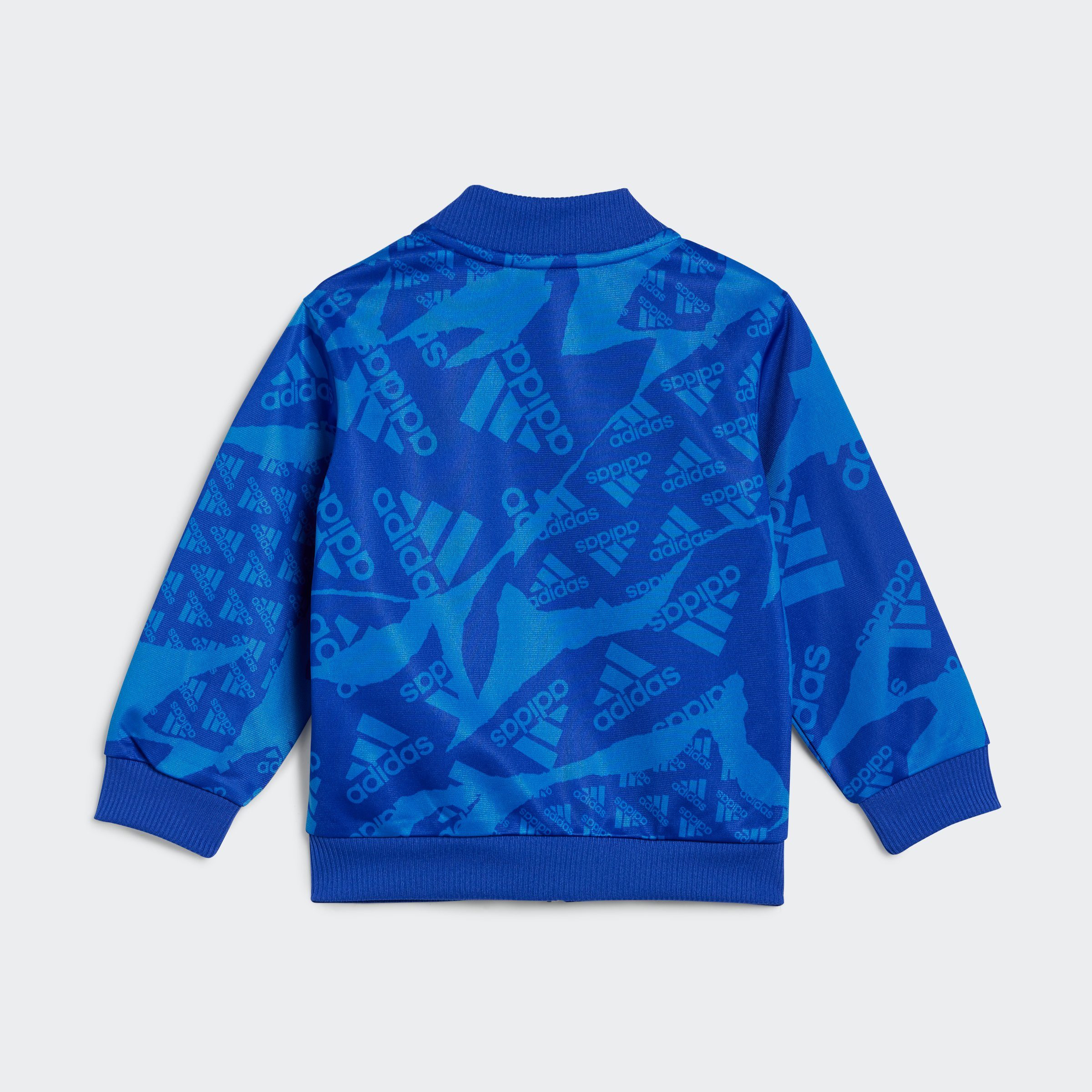 adidas Sportswear Trainingsanzug I CAMLOG TS (2-tlg)