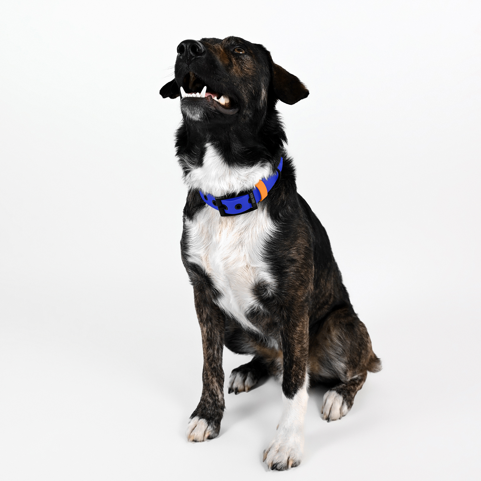 THE DOG IDEA Hundehalsbänder THE DOG IDEA Biothane Halsband Blau S