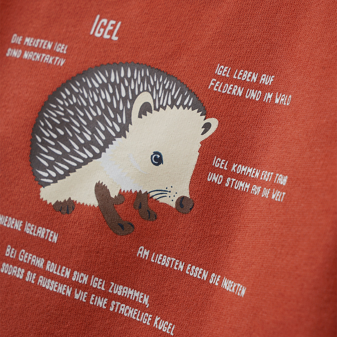 Baby Sweatshirt mit Igel-Motiv