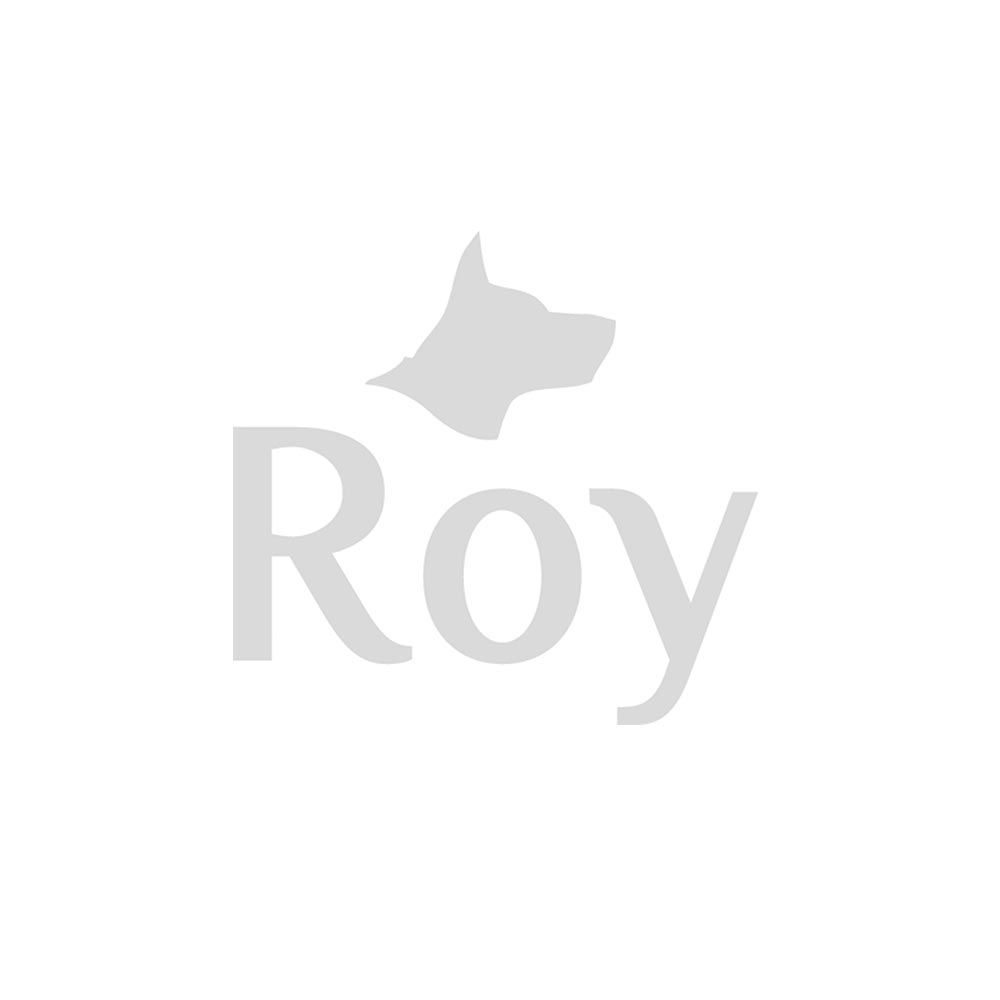 ROY Entenbrustfilets 200gr.